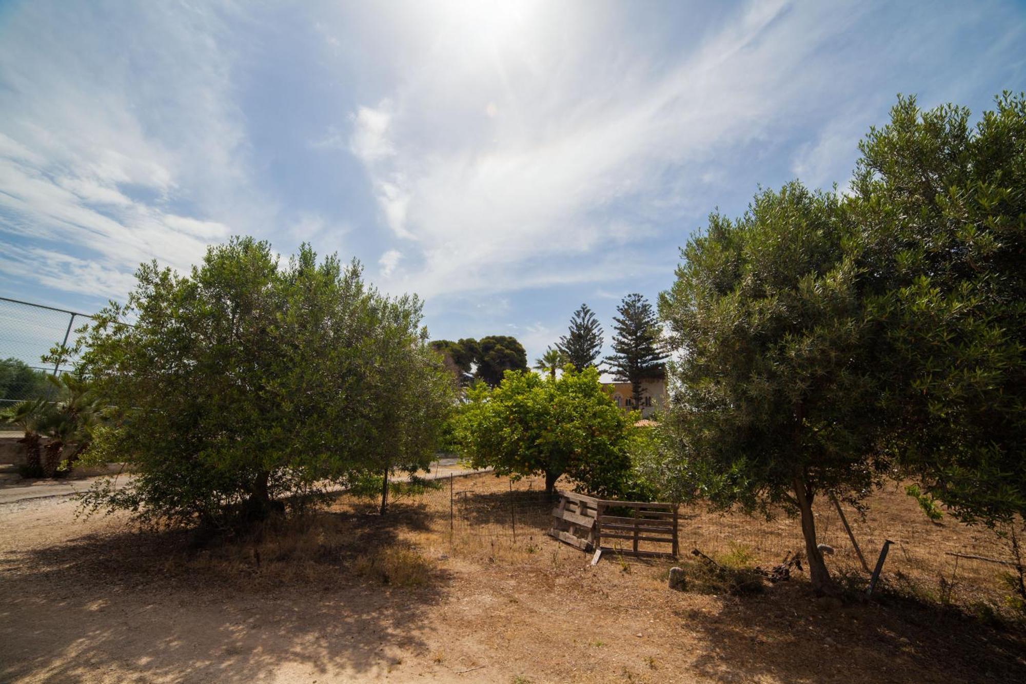 Villa Amodeo Paceco Exterior photo
