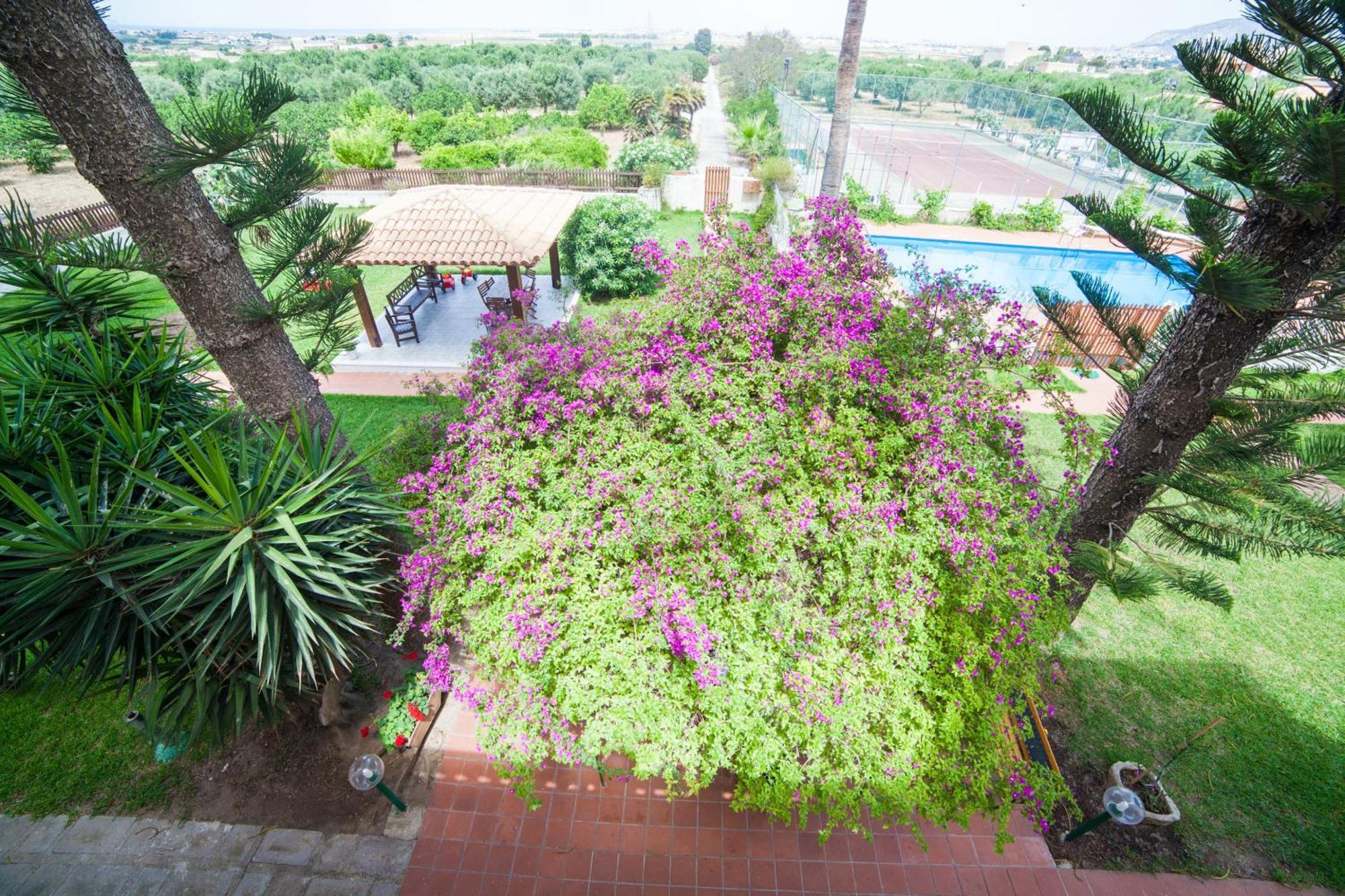 Villa Amodeo Paceco Exterior photo